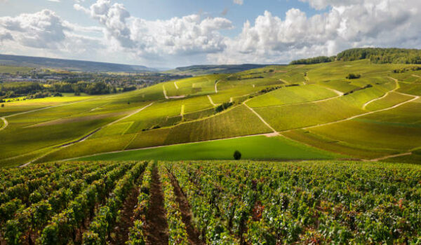 Paysage de Nouvelle-Aquitaine